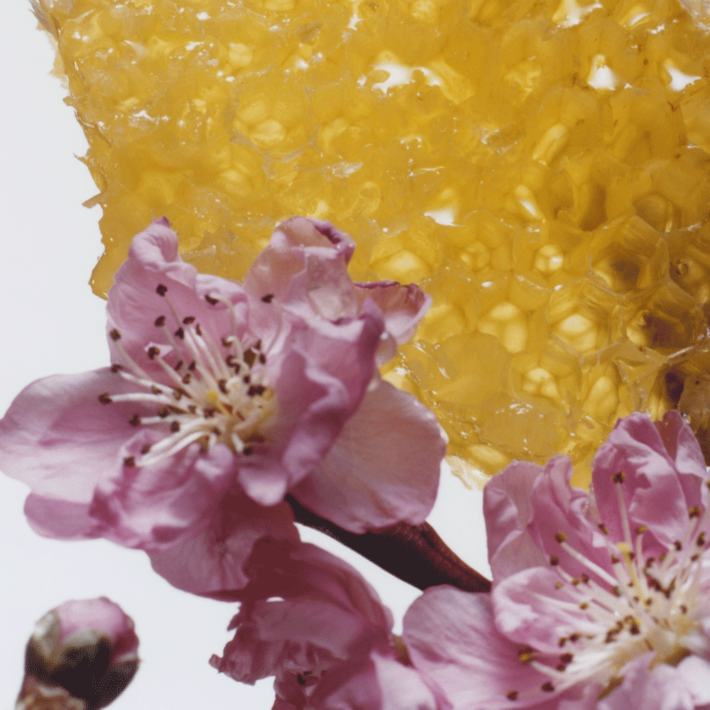 Nectarine Blossom & Honey Body Creme