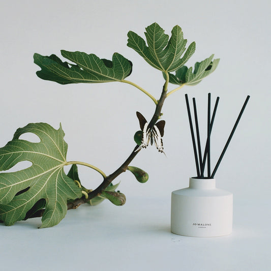 Fresh Fig & Cassis Refill