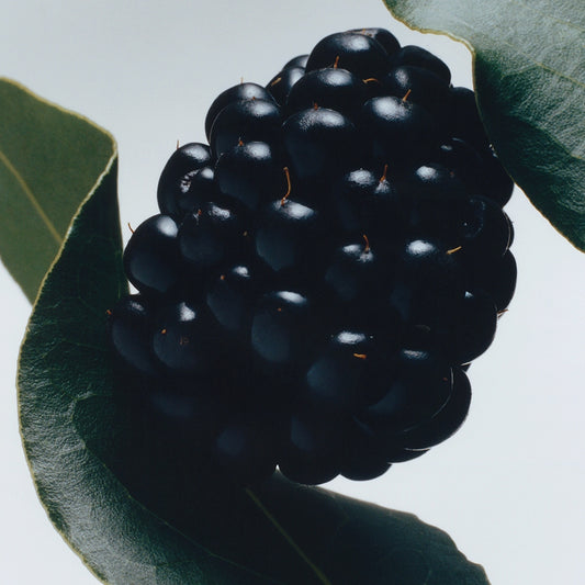 Blackberry & Bay Diffuser