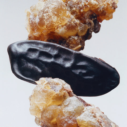 Myrrh & Tonka Cologne Intense