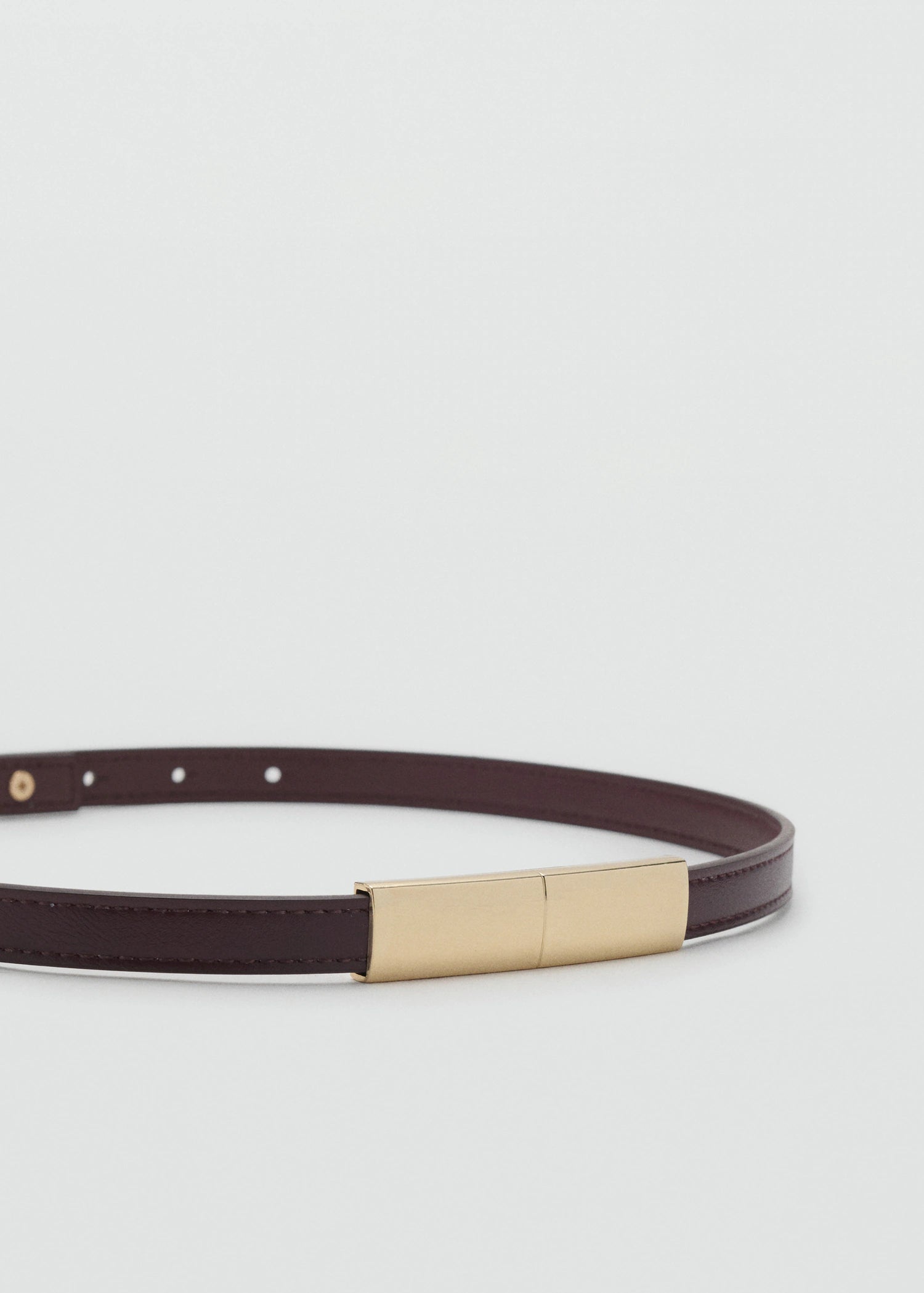 Thin Belt With Metal Detail