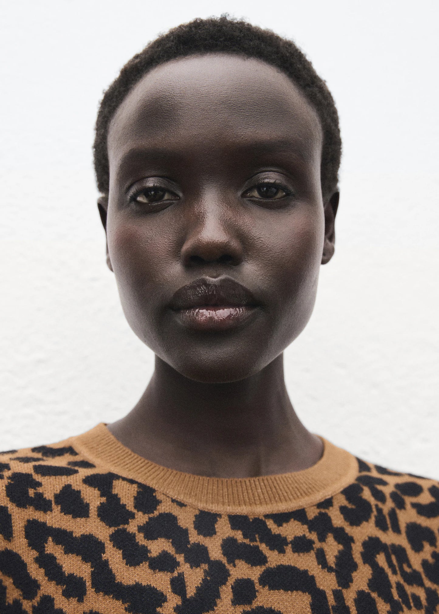 Leopard Print Knitted Sweater