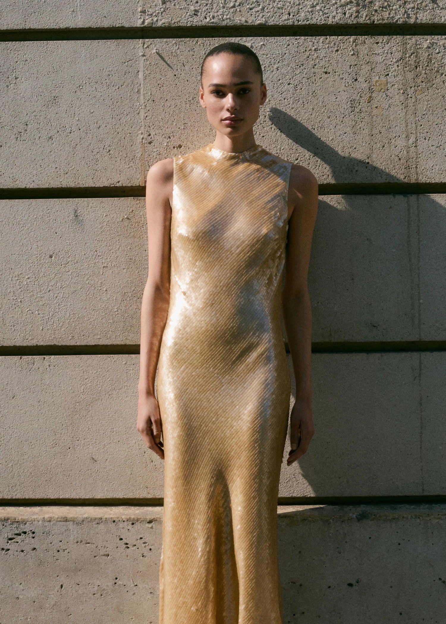 Scoop Back Sequin Dress