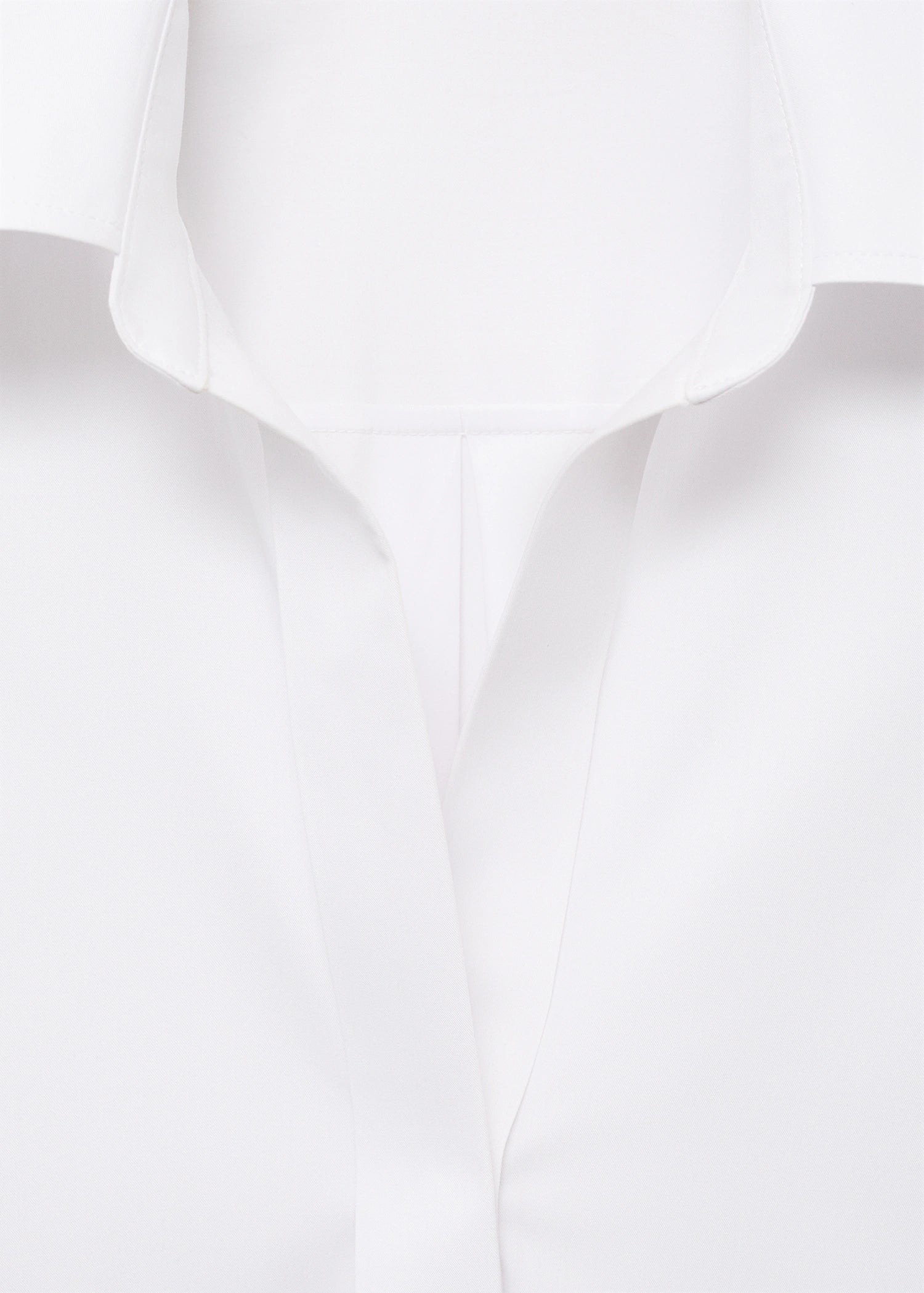 Shirt With Concealed Placket And Collar