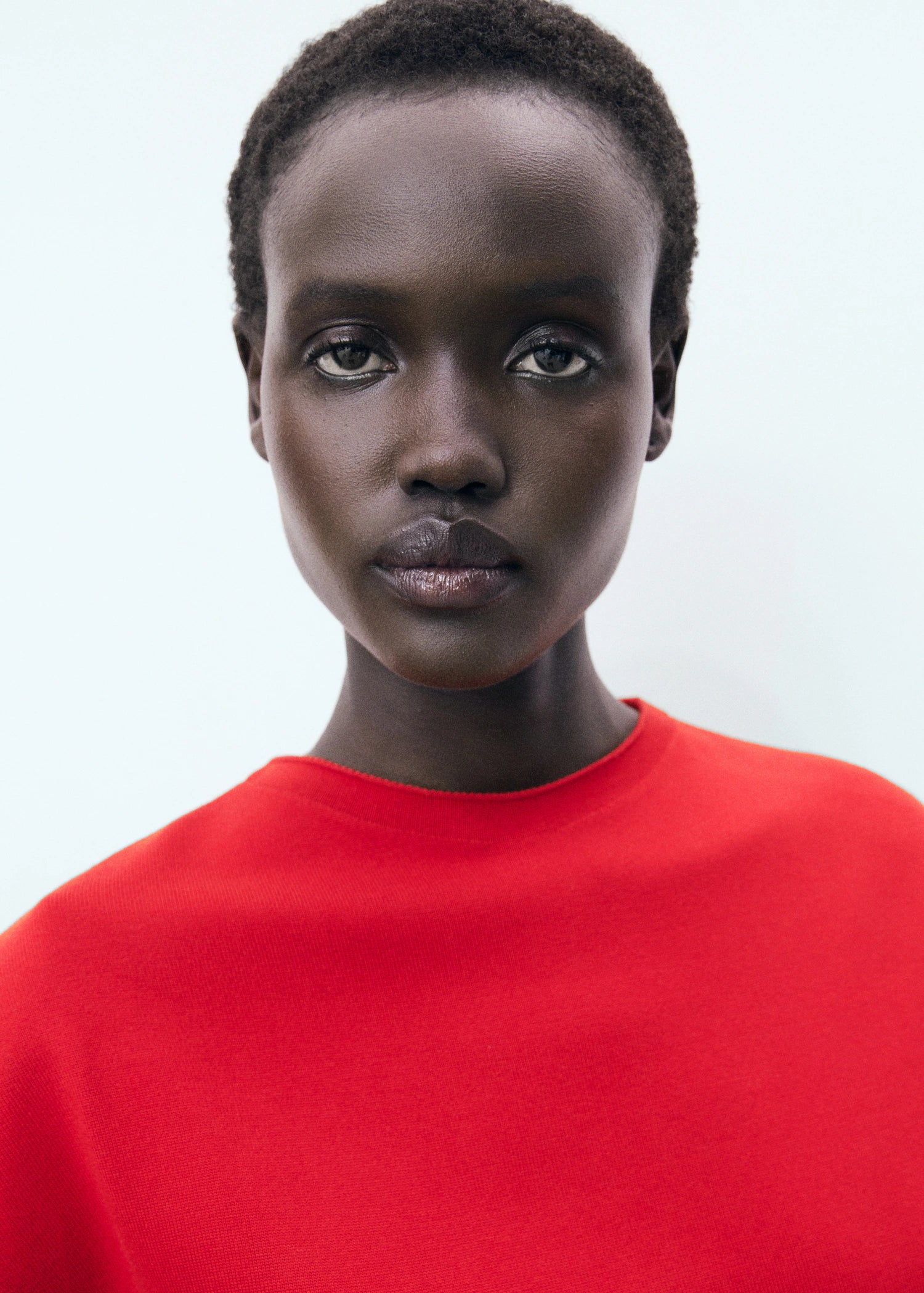 Short Sleeved Fine Knit Sweater