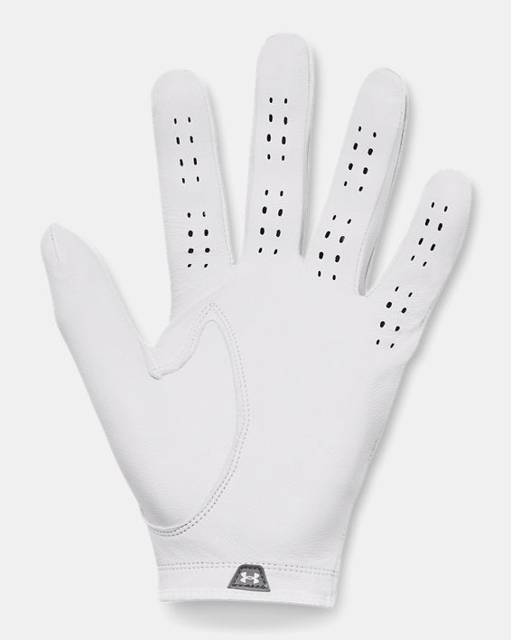 UA Drive Tour Men's Glove