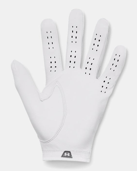 UA Drive Tour Men's Glove