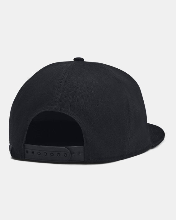 Curry Flat Brim Men's Snapback Cap
