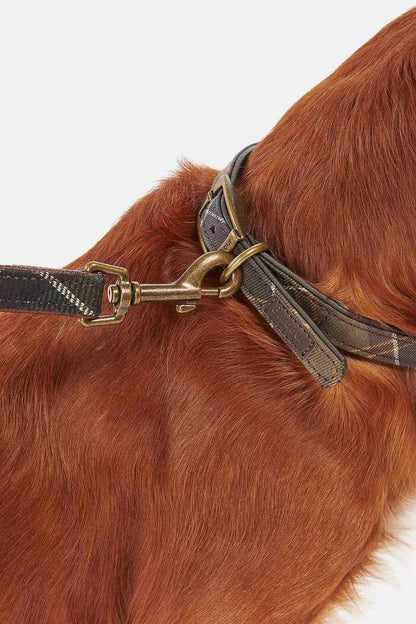 Tartan dog collar