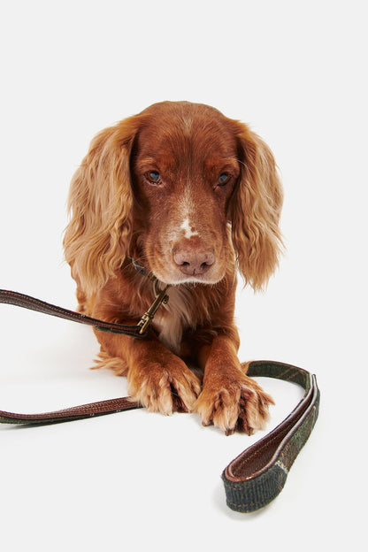 Tartan Dog Lead