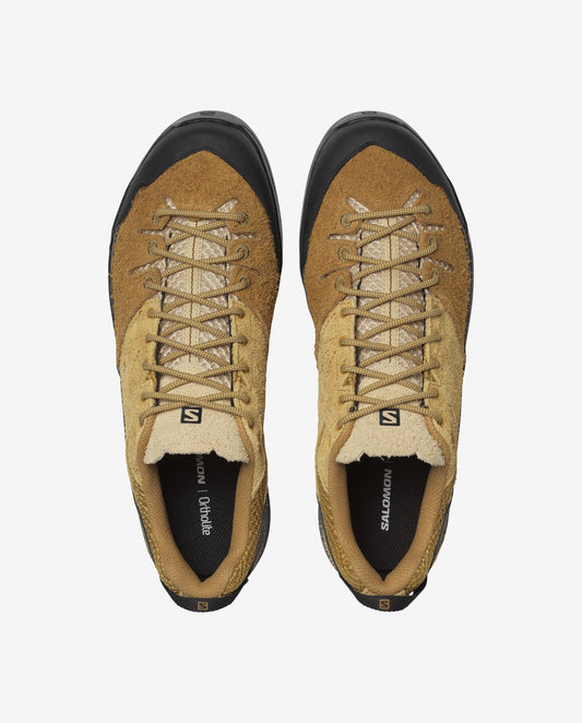 X ALP SUEDE BRONZE BROWN / WOOD THRUSH WOMEN