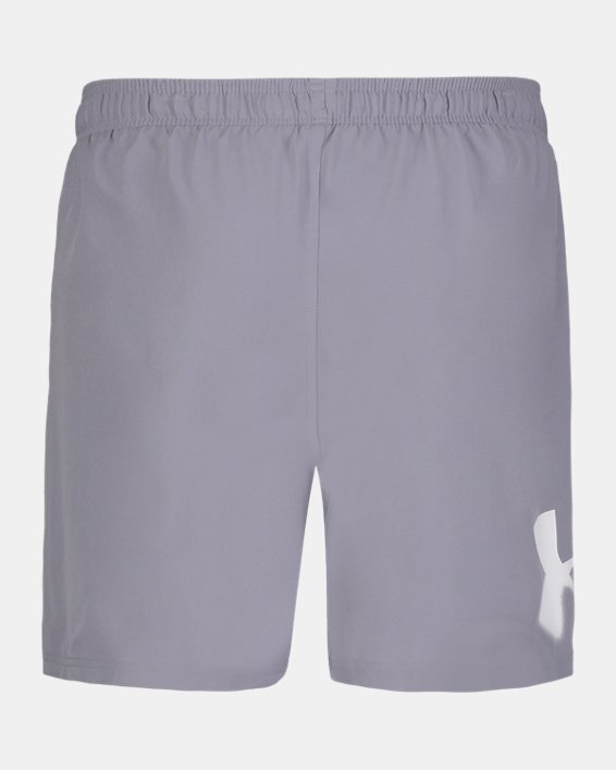 UA Logo Volley Men's Swim Shorts