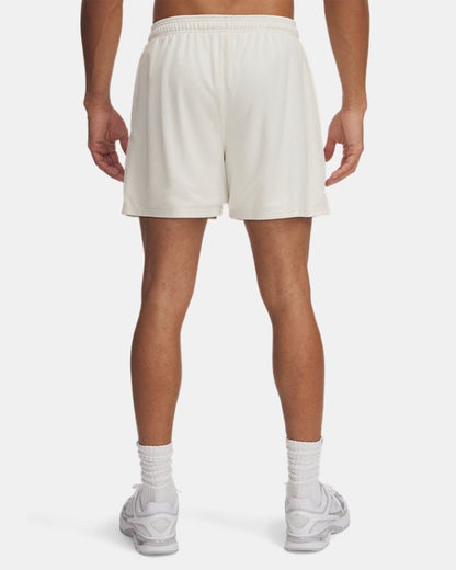 UA Icon Mesh Men's 5 Shorts