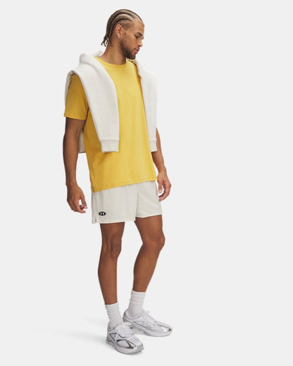 UA Icon Mesh Men's 5 Shorts
