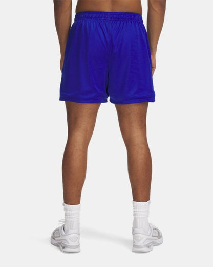 UA Icon Mesh Men's 5 Shorts