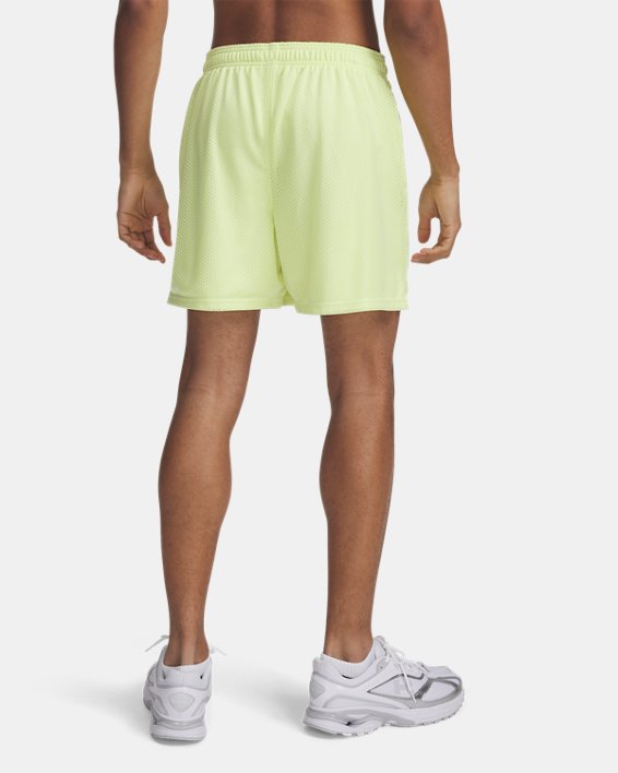 UA Icon Mesh Men's 5 Shorts