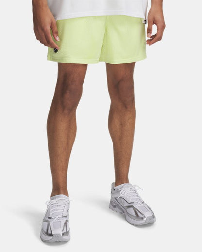 UA Icon Mesh Men's 5 Shorts