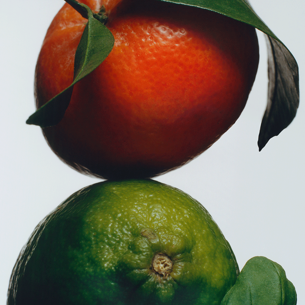 Lime Basil & Mandarin Exfoliating Shower Gel