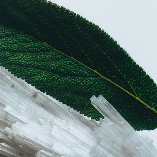 Wood Sage & Sea Salt Exfoliating Shower Gel