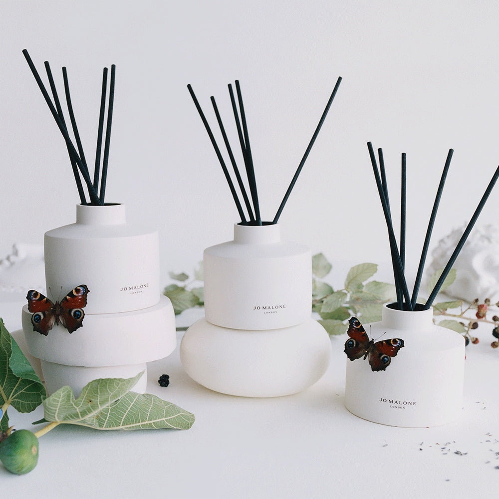 Green Tomato Vine Refill