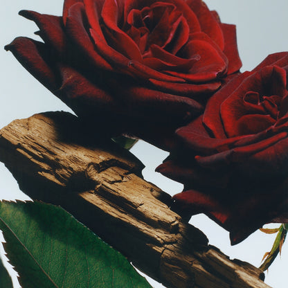 Velvet Rose & Oud Body & Hand Wash