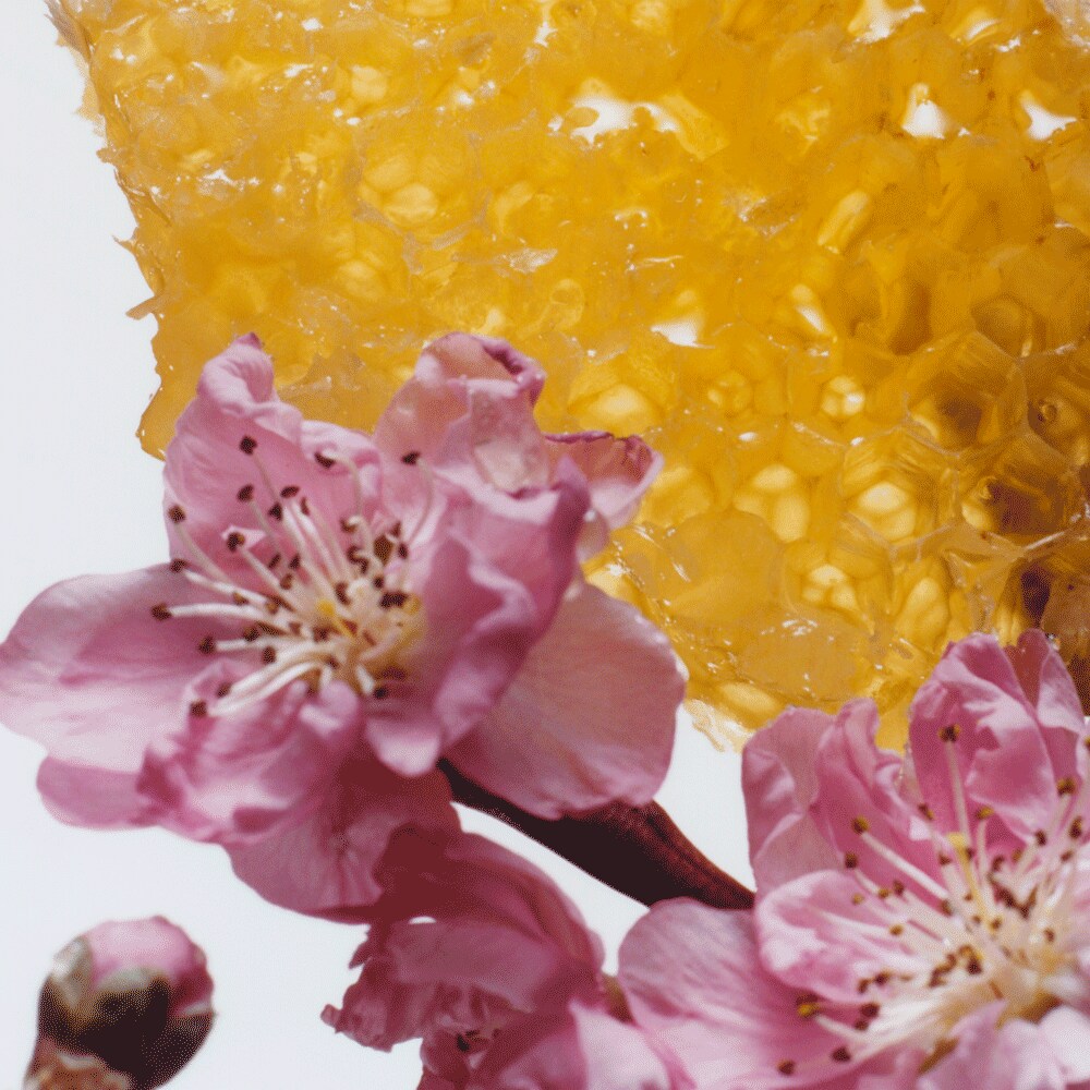 Nectarine Blossom & Honey Cologne