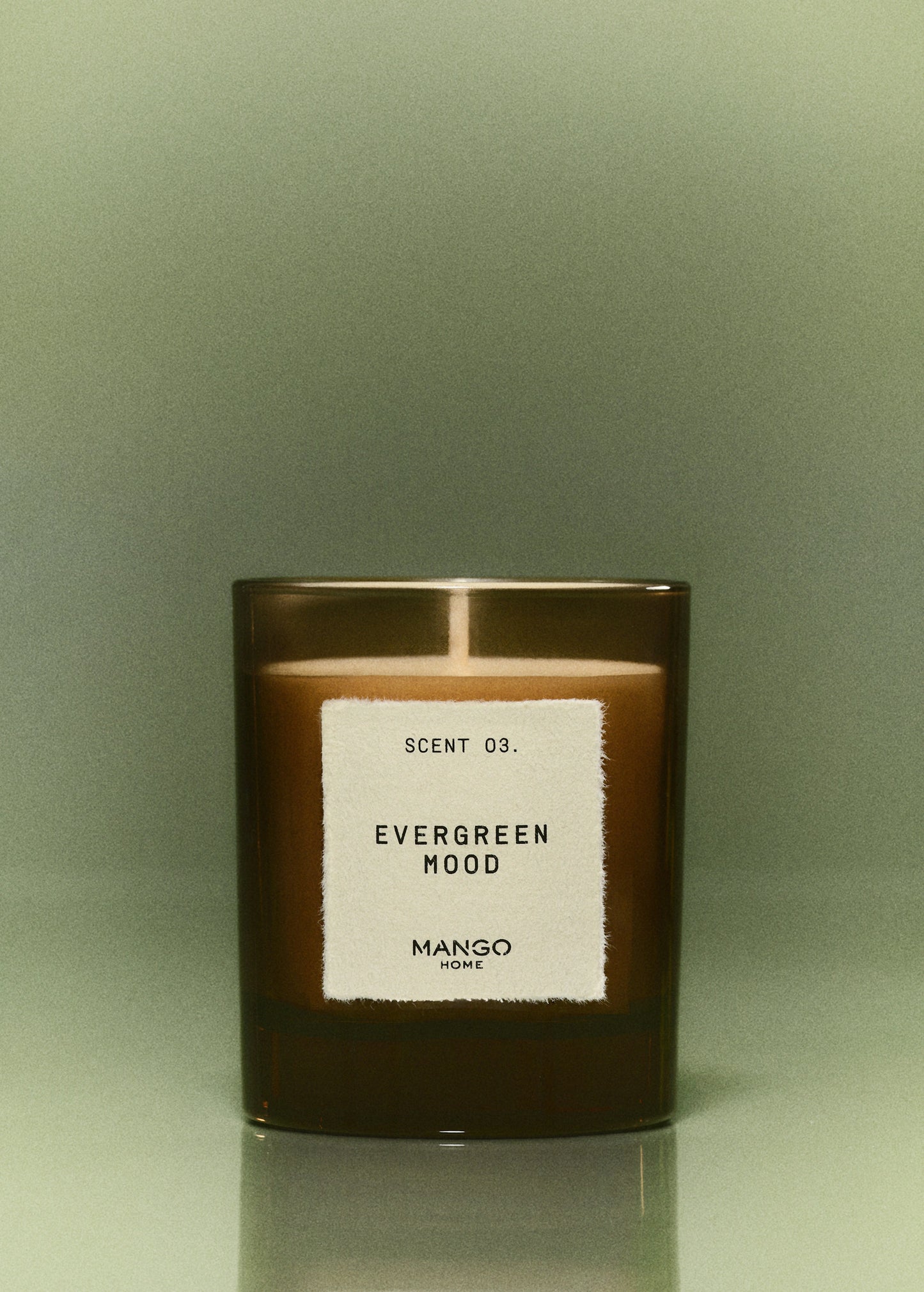 Evergreen Mood Aromatic Candle 200 Gr Brown