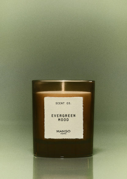 Evergreen Mood Aromatic Candle 200 Gr Brown