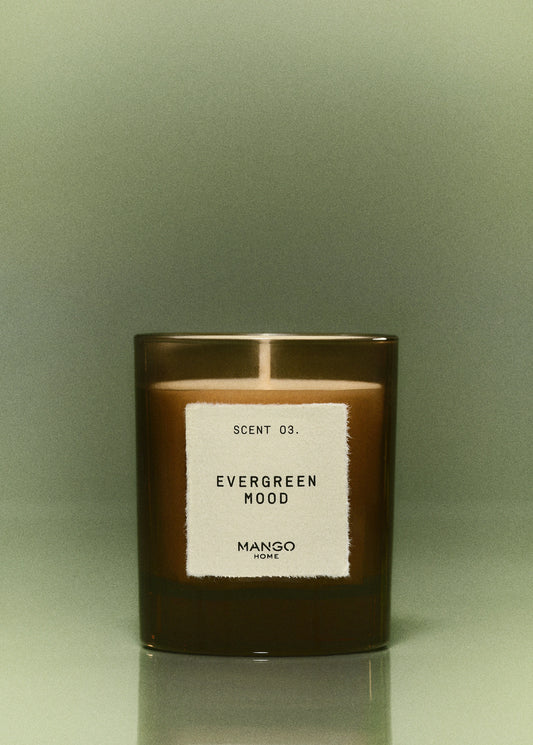Evergreen Mood Aromatic Candle 200 Gr Brown