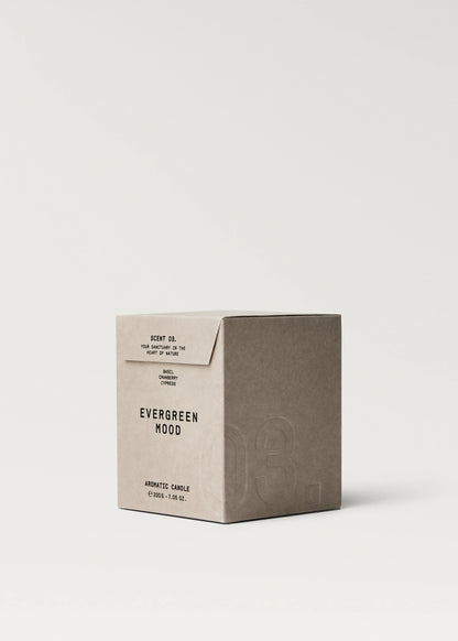 Evergreen Mood Aromatic Candle 200 Gr Brown