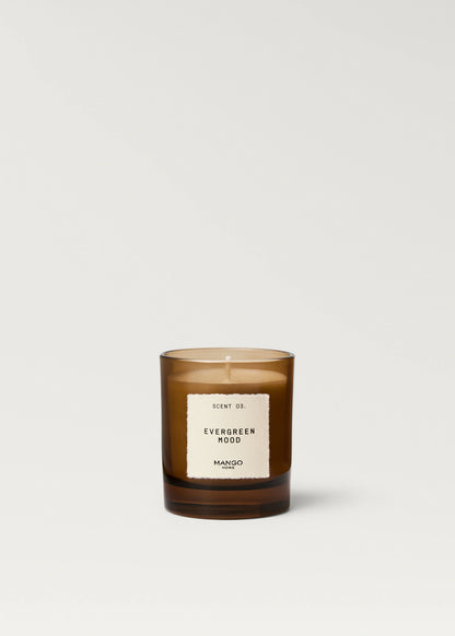 Evergreen Mood Aromatic Candle 200 Gr Brown