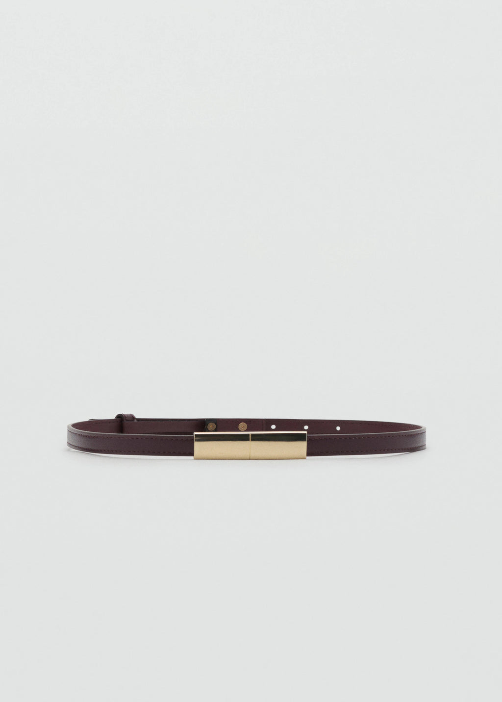 Thin Belt With Metal Detail