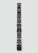Stud Leather Belt