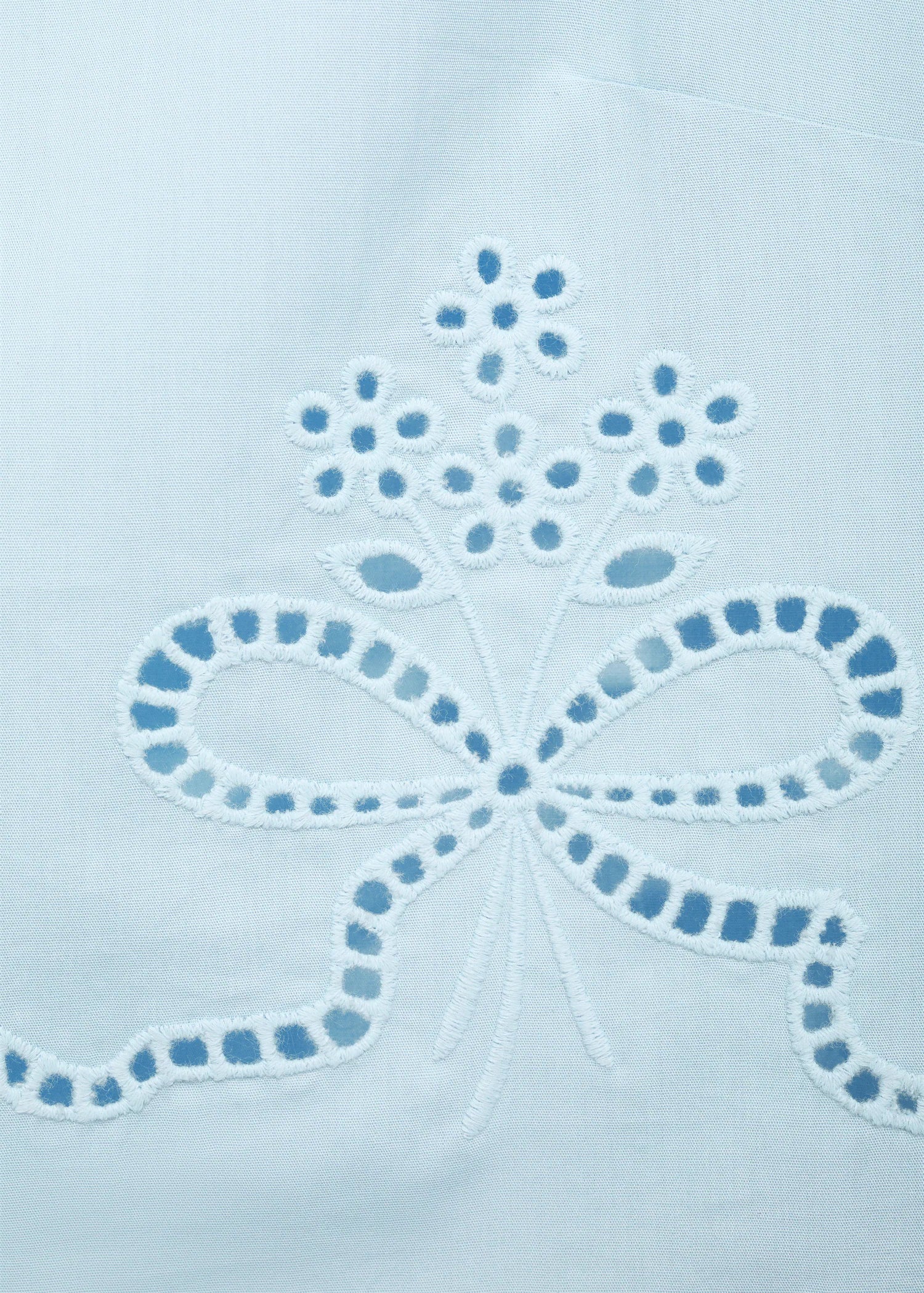 Embroidered Crop Top