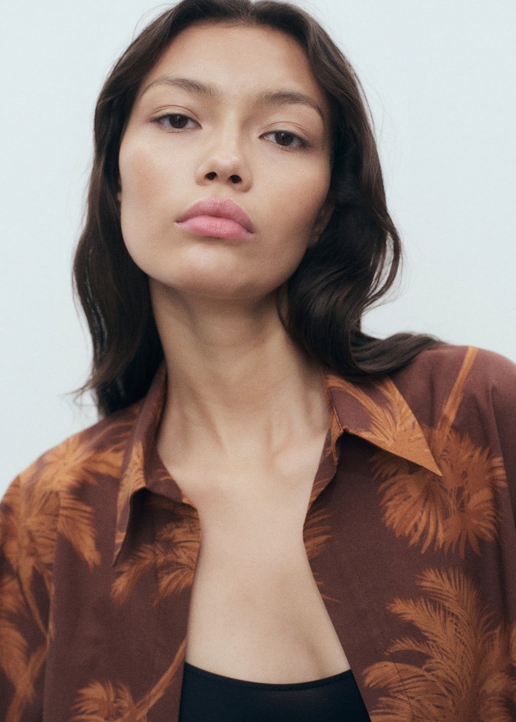 Palm Tree Print Cotton Shirt