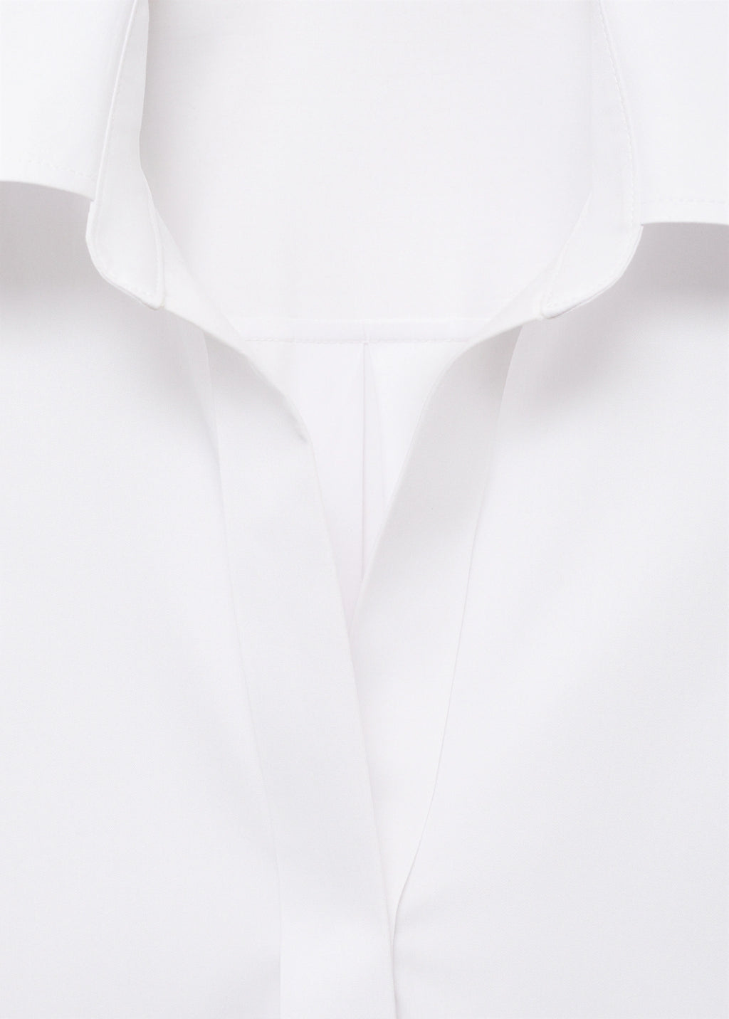 Shirt With Concealed Placket And Collar