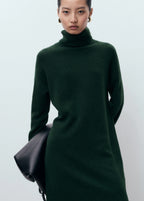Turtle Neck Knit Dress