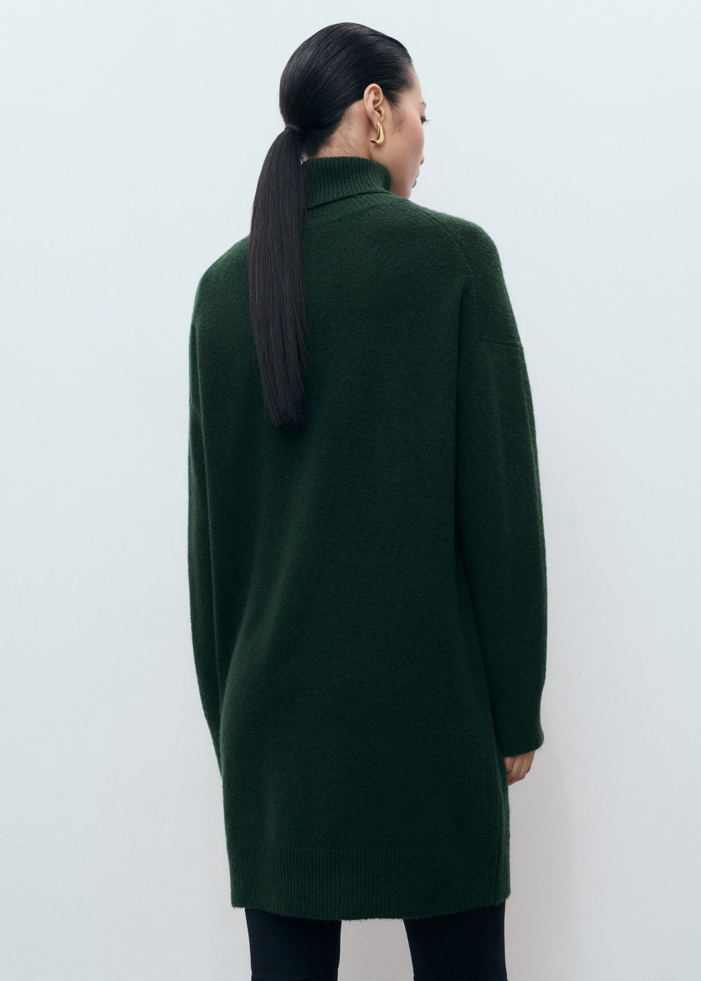 Turtle Neck Knit Dress