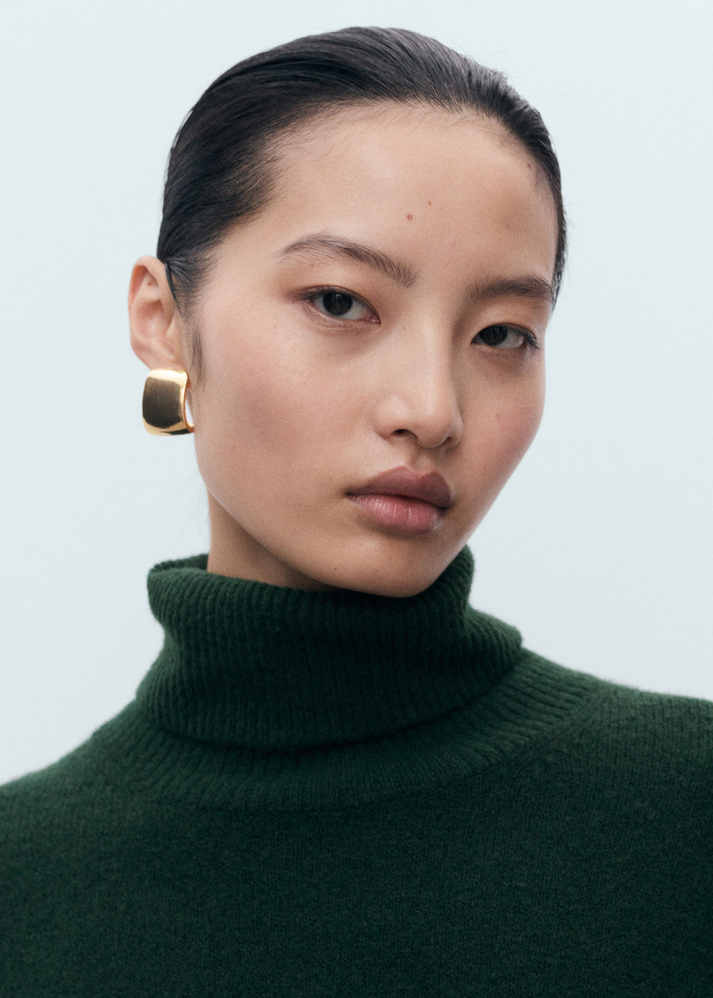 Turtle Neck Knit Dress