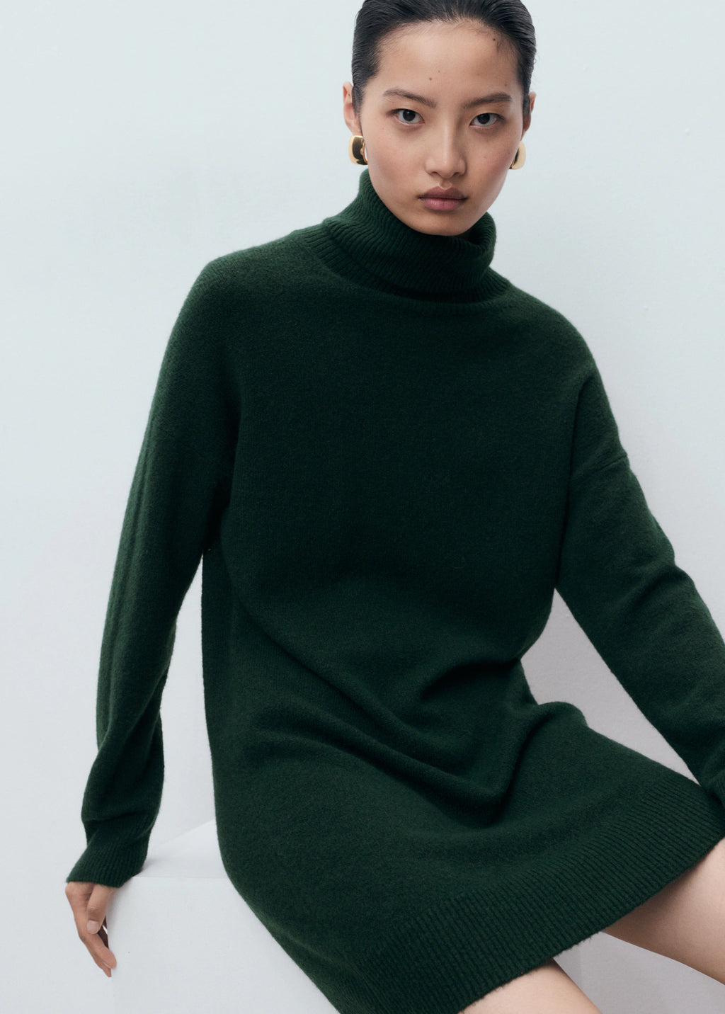Turtle Neck Knit Dress