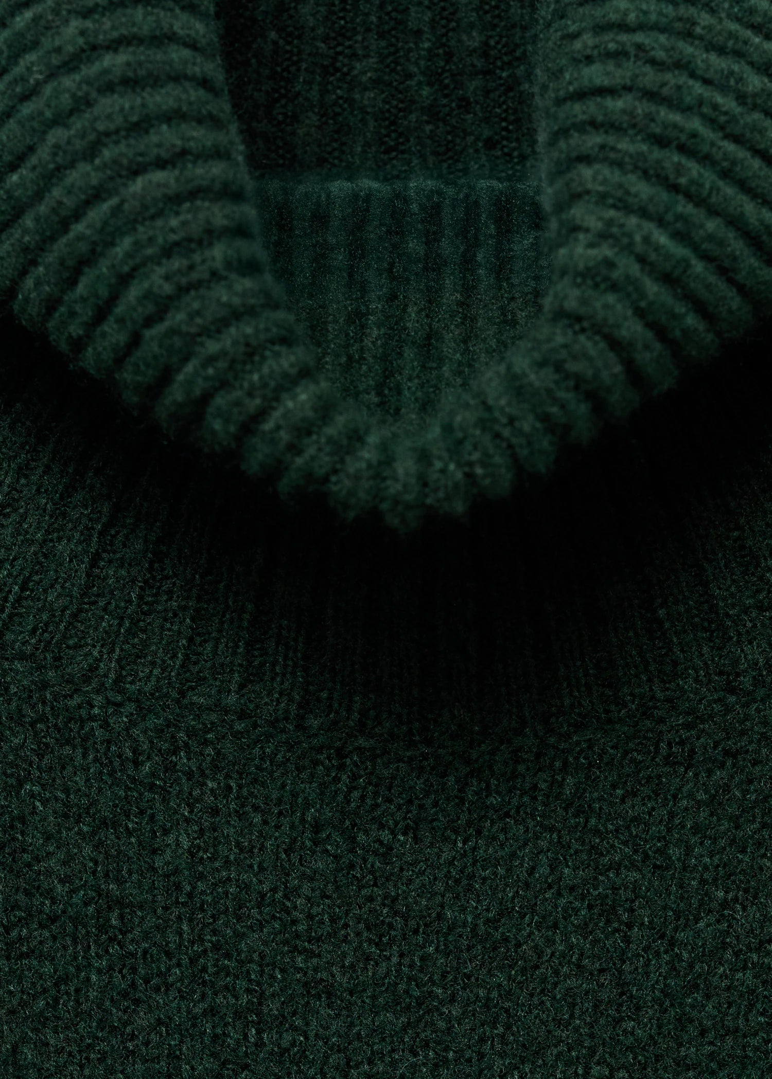 Turtle Neck Knit Dress